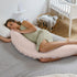 Doomoo BUDDY Maternity Pillow - Cloudy Pink